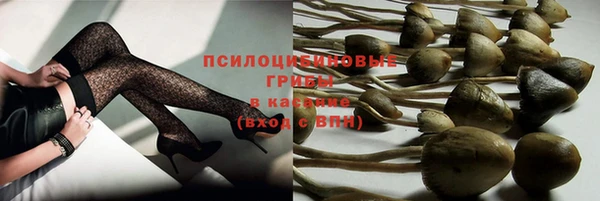 дживик Осташков