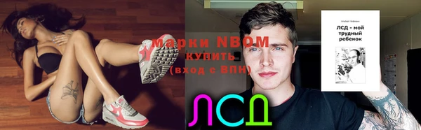 дживик Осташков