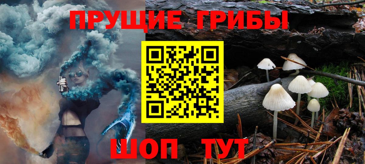 Галлюциногенные грибы Cubensis  Севастополь  Галлюциногенные грибы прущие грибы 