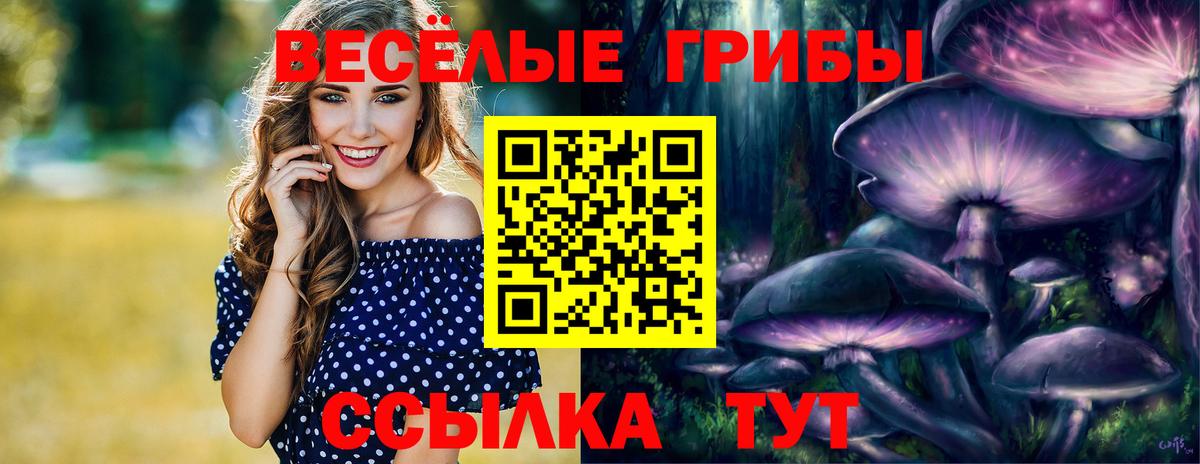 Галлюциногенные грибы GOLDEN TEACHER Севастополь